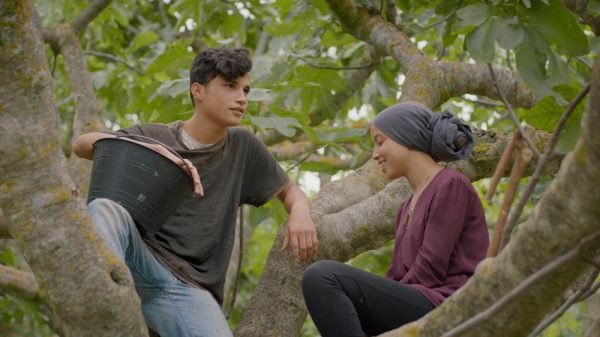 under-the-fig-trees-1