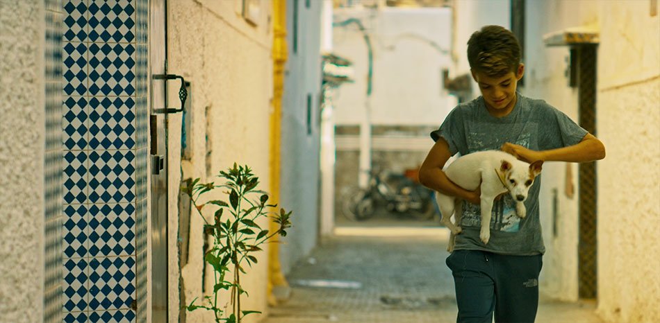 Bottles (18 min) - Yassine El Idrissi - Morocco